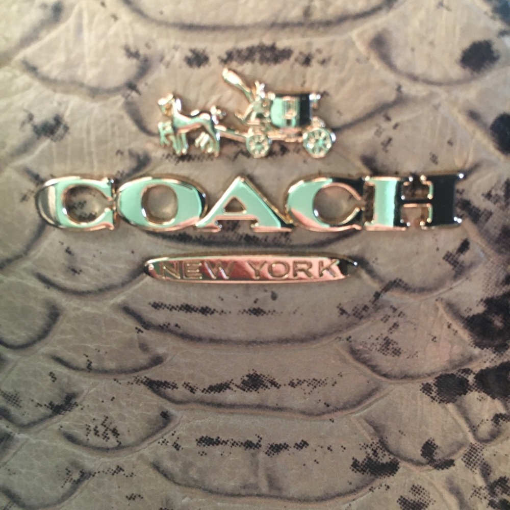 C0ACH snake leather purse